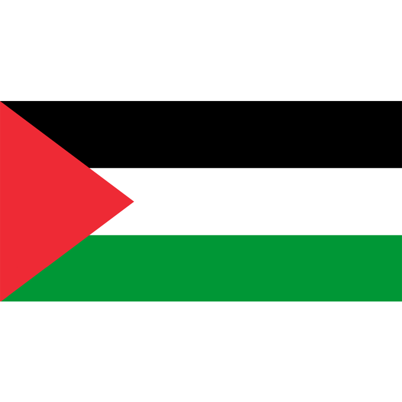 palestine flag